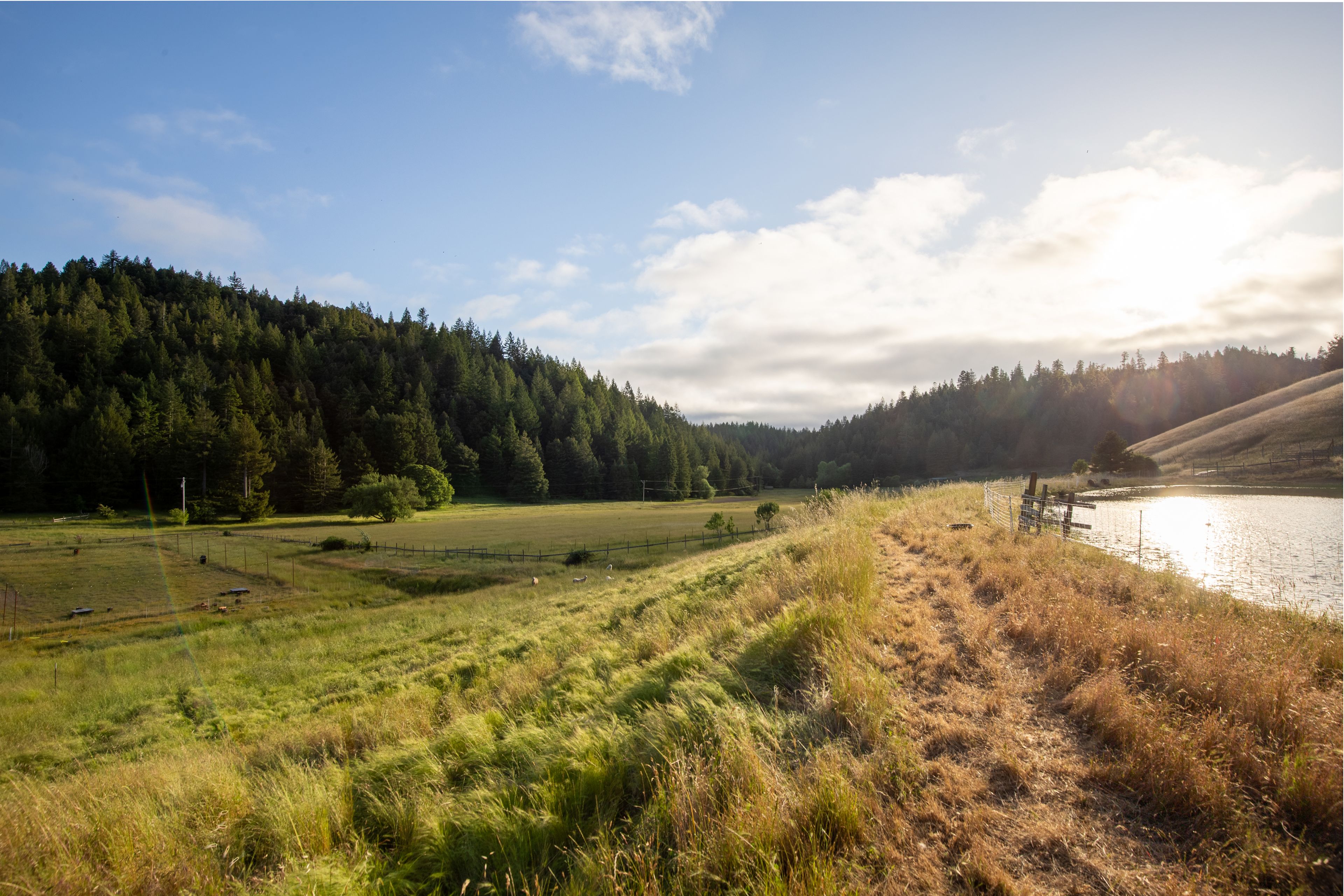 Farm near Mendocino.
