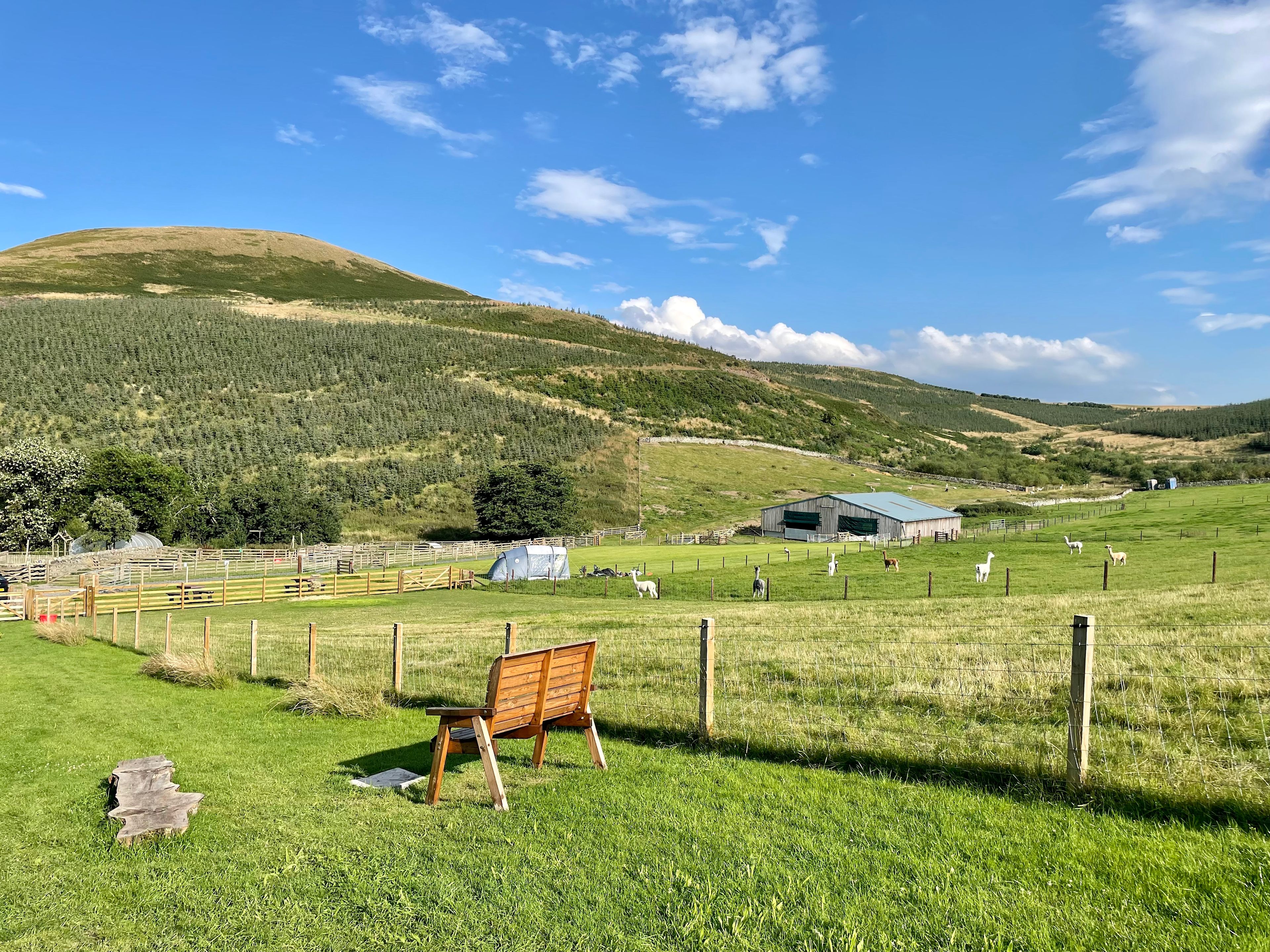 Camping experiences in the Scottish Borders