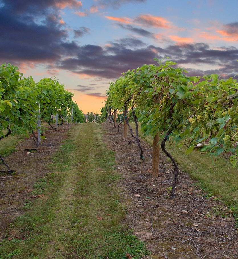 Winery in Taylors Falls, Minnesota.