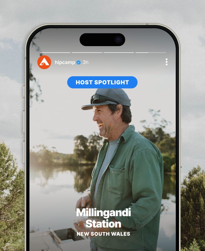 Be seen on social media.