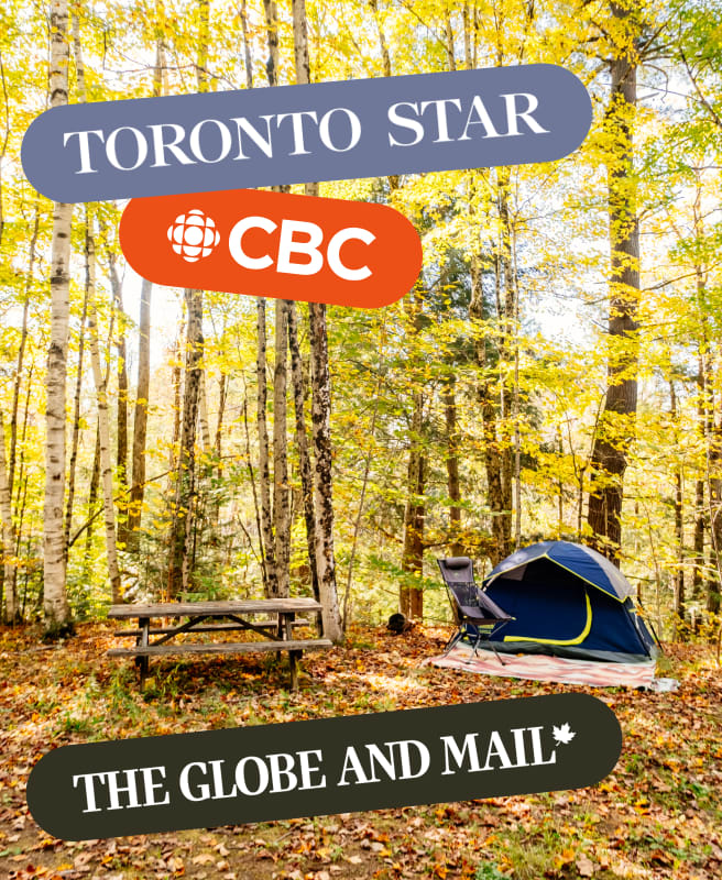 Get featured in the media.