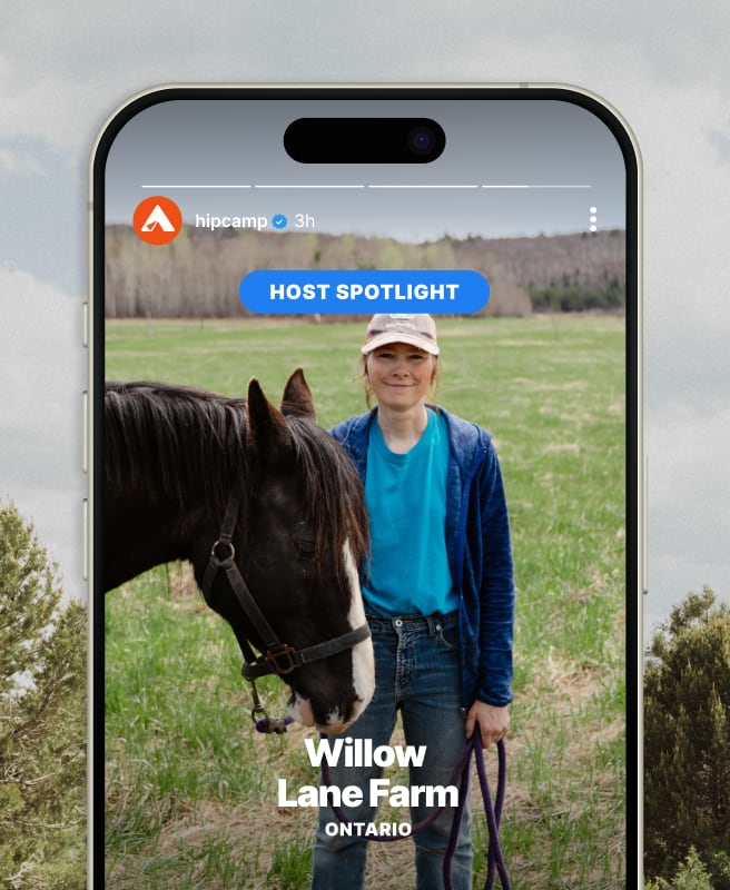 Be seen on social media.