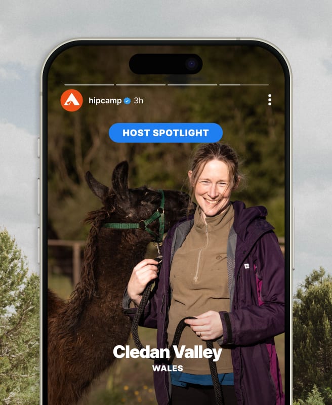 Be seen on social media.