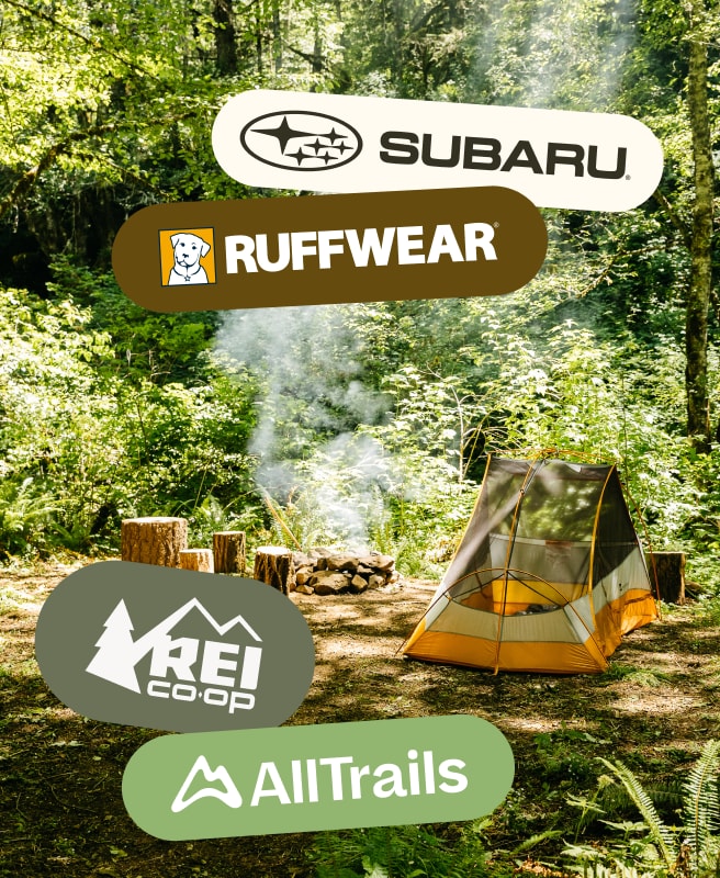 Grow with trusted partners.