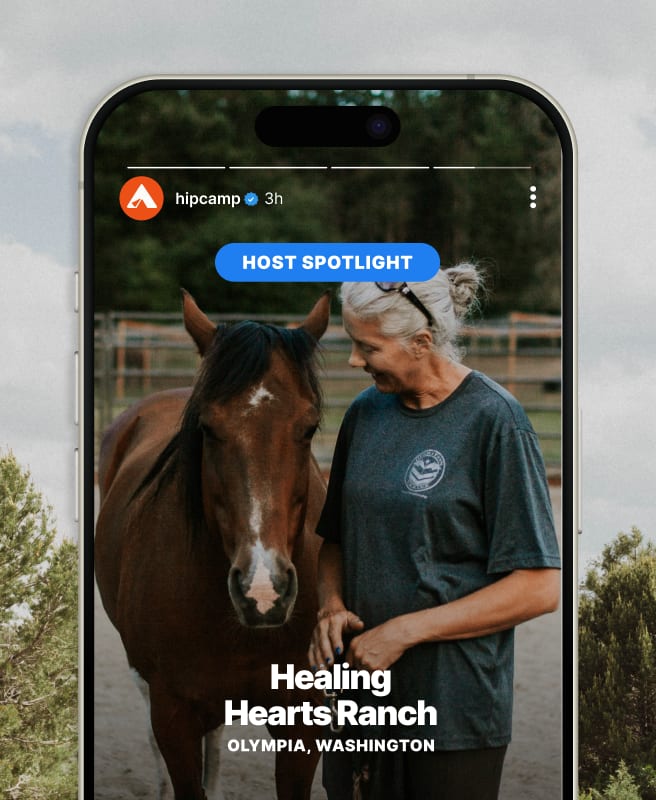 Be seen on social media.