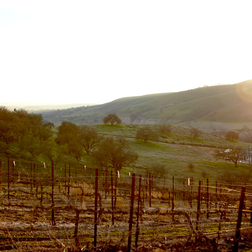 Pianetta Winery