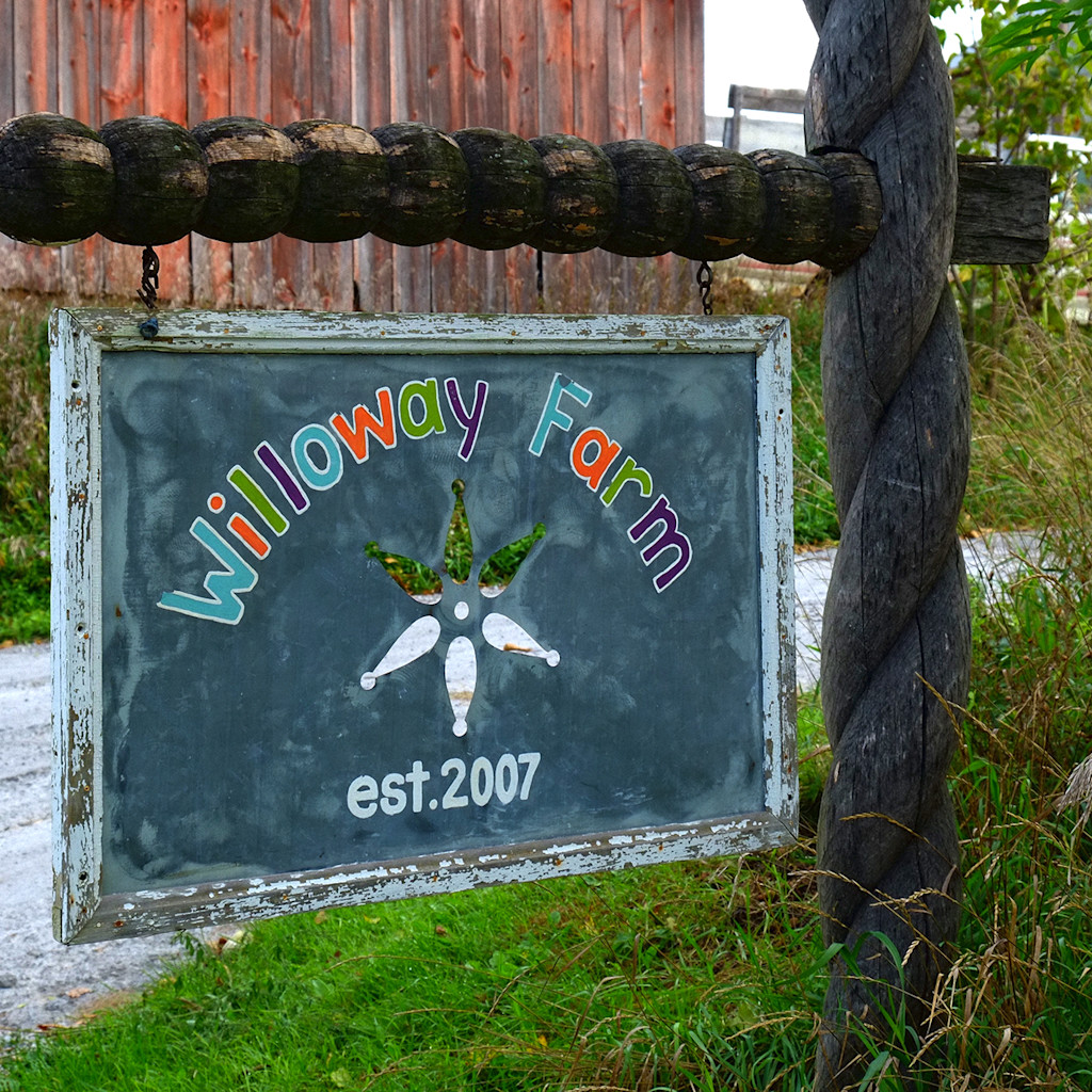 Finding Peace at Willoway Farm