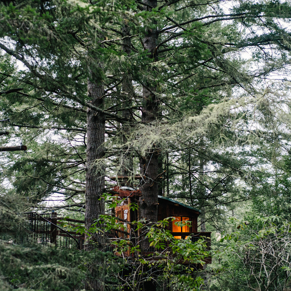 The Secret Life of a Treehouse Builder