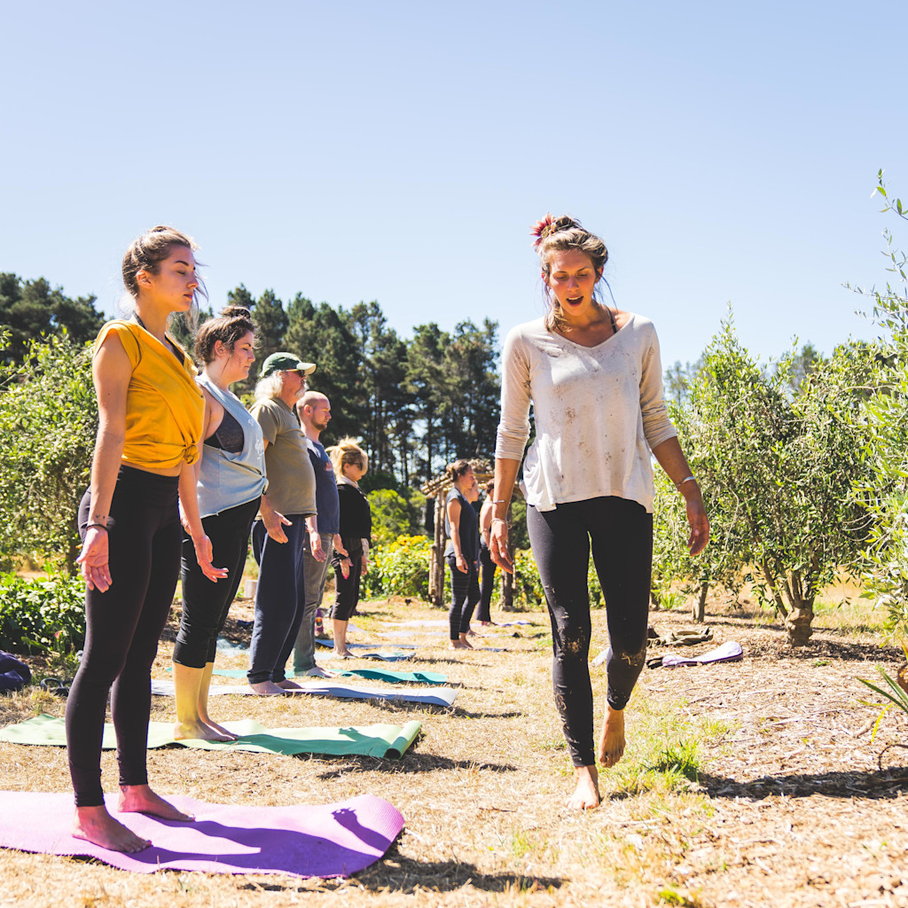 Hipcamp Hosts Who are Offering Healing Programs on their Lands