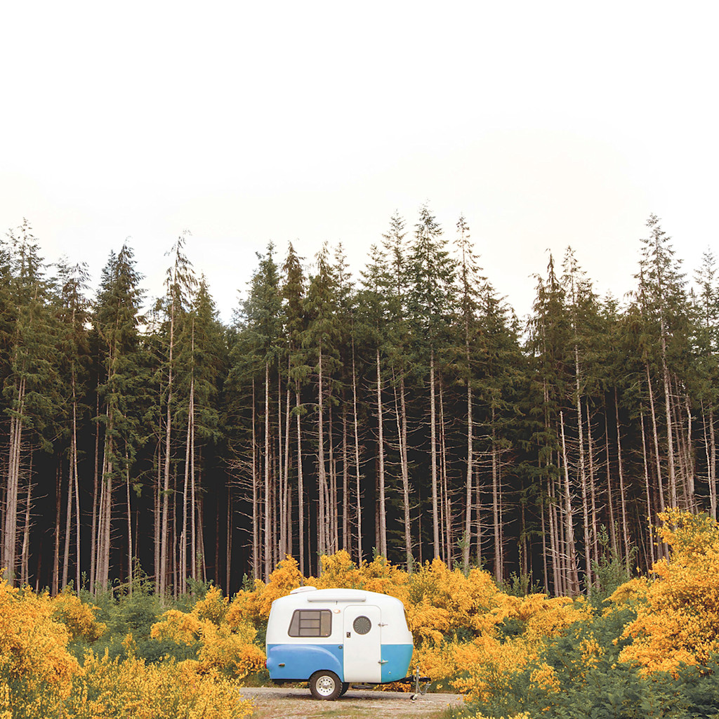 Enter the 2018 Endless Summer Camping Challenge