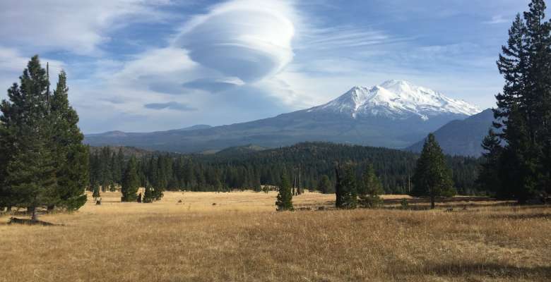 Shasta View Meadow