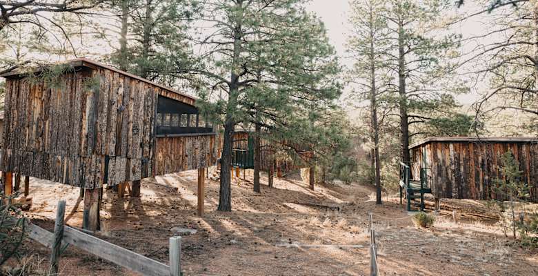 Treehouse Cabins Near Hyde Memorial State Park Hipcamp 27
