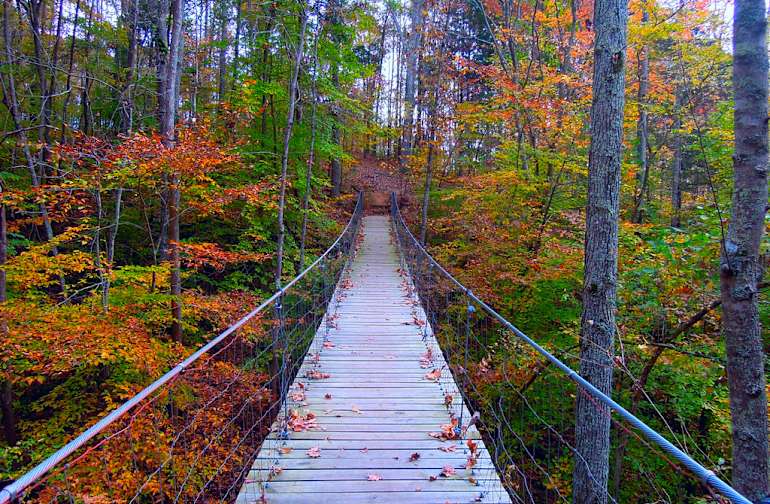 State Parks In Tennessee Best Campgrounds Hipcamp
