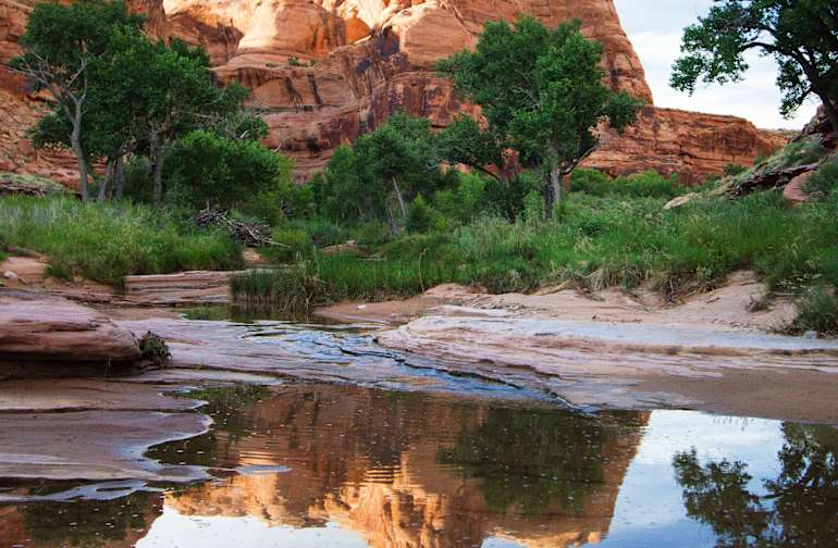 Goose Island Campground Moab Ut 6 Hipcamper Reviews And 15 Photos
