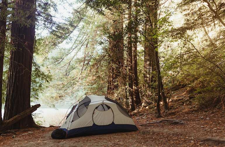 Jedediah Smith Redwoods Campground Jedediah Smith Redwoods Ca