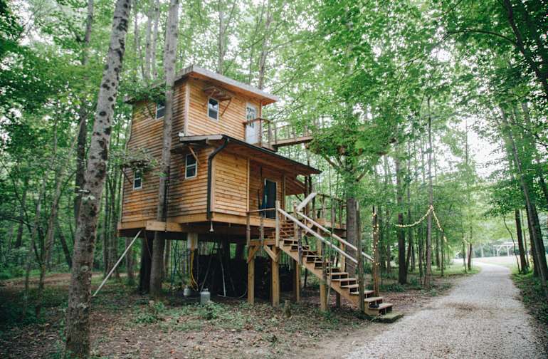 Get Wallpaper Black Walnut Grove At Happy Hollow Happy Hollow Homestead In For Android