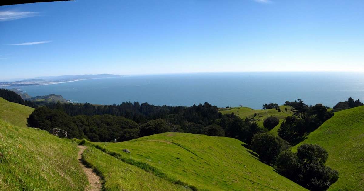 Alice Eastwood Group Campground Mount Tamalpais Ca 4 Hipcamper