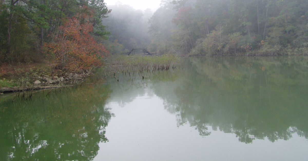 Best Camping In And Near Lake Livingston State Park