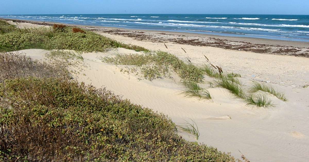 Best Camping In And Near Padre Island National Seashore