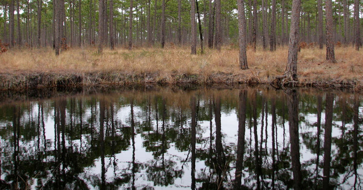 Flanners Beach Campground Croatan Nc