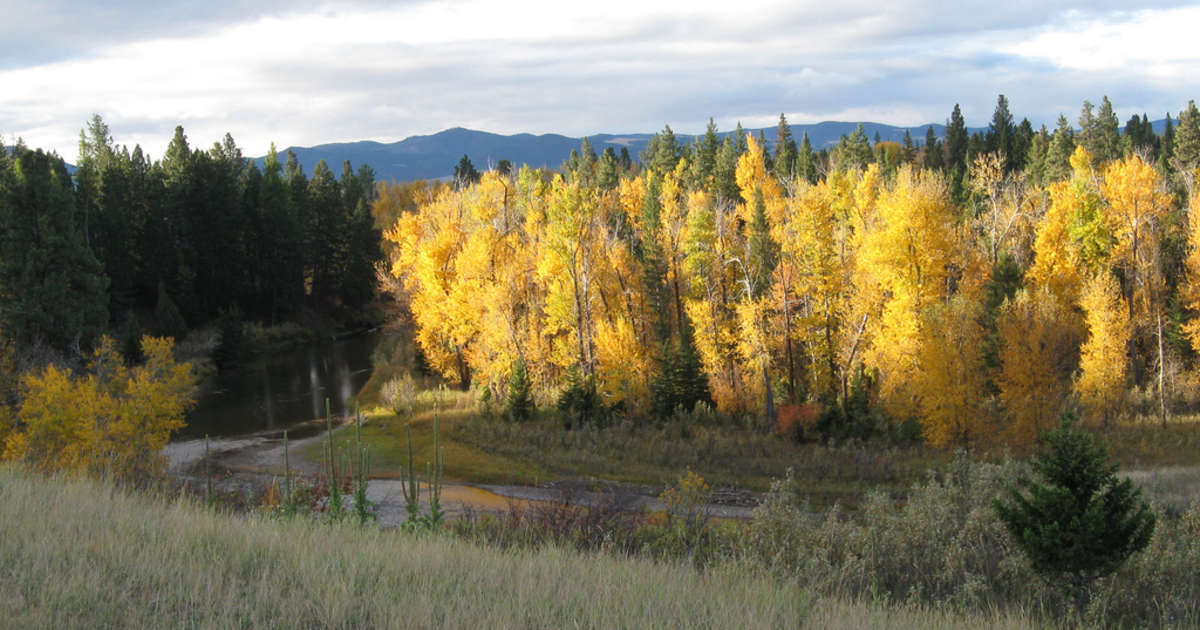 Auto Places Near Me >> Indian Flats Cabin, Helena, MT: Auto Places Near Me >> Indian Flats Cabin, Helena, MT: