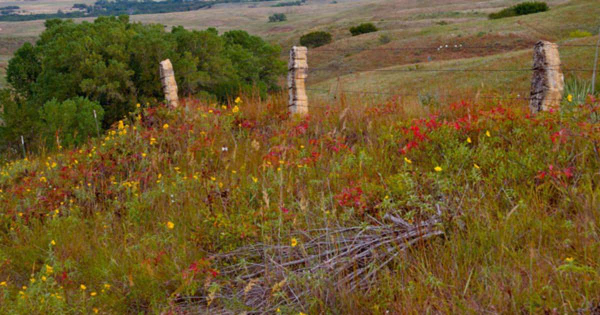 Lovegrass Campground Wilson Ks Ks