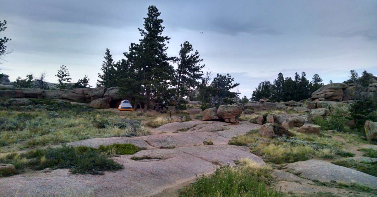 Medicine Bowroutt National Forests  Thunder Basin