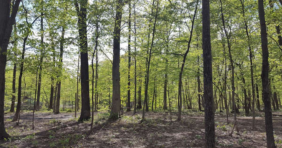 Walnut Point Campground Walnut Point Il 16 Photos