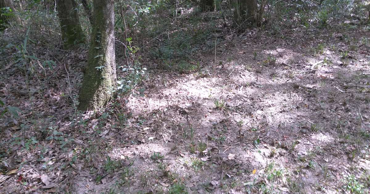 Personals in otter creek florida