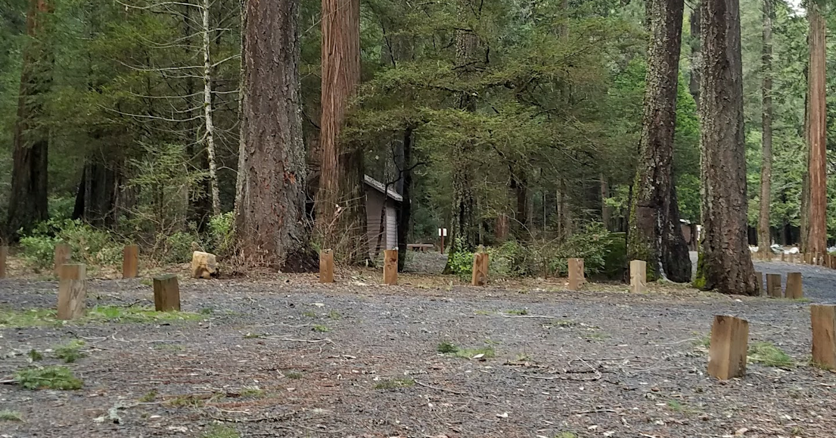 Golden Trout Campground, Plumas, CA: 1 Hipcamper Review ...