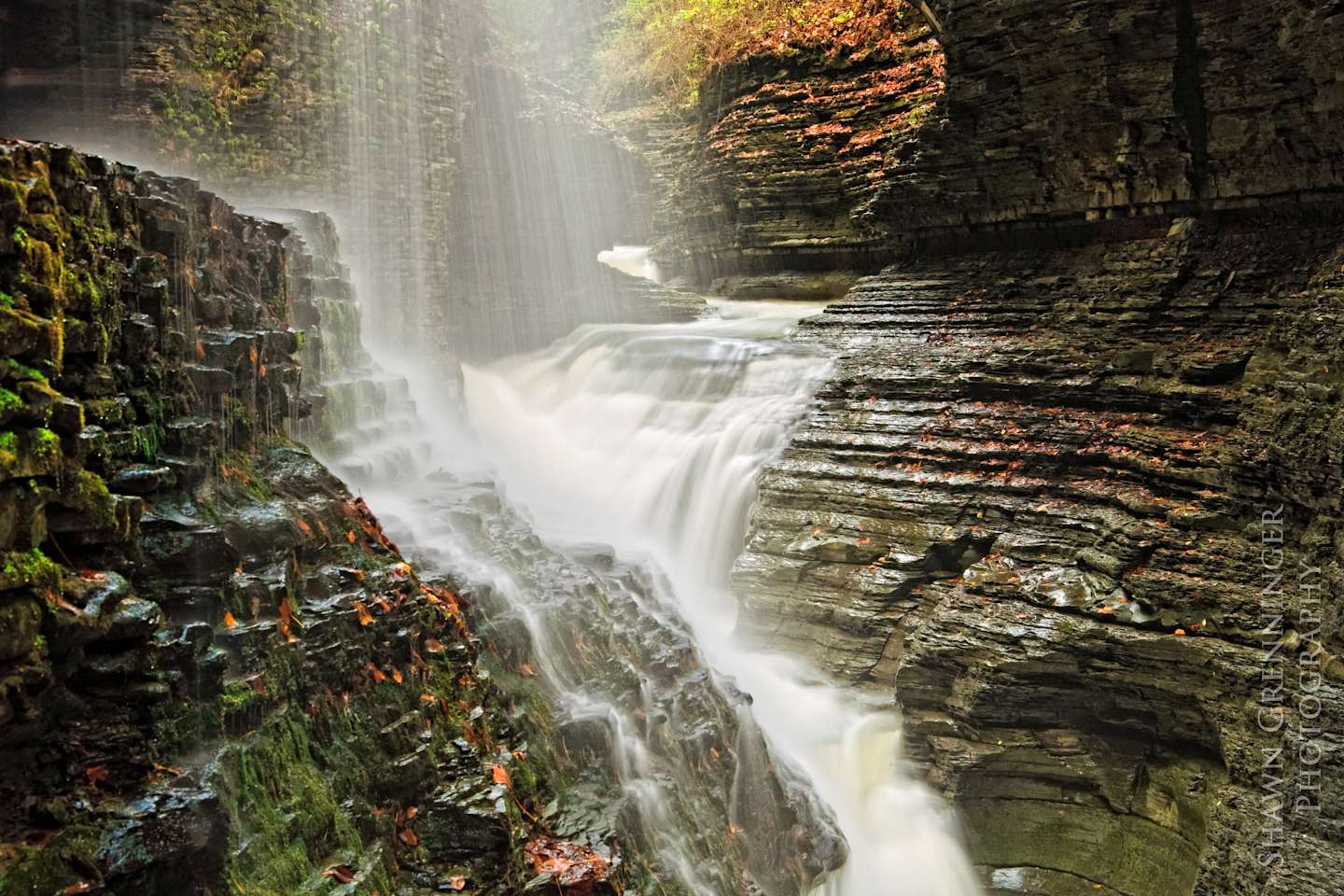 Best Camping In And Near Watkins Glen State Park