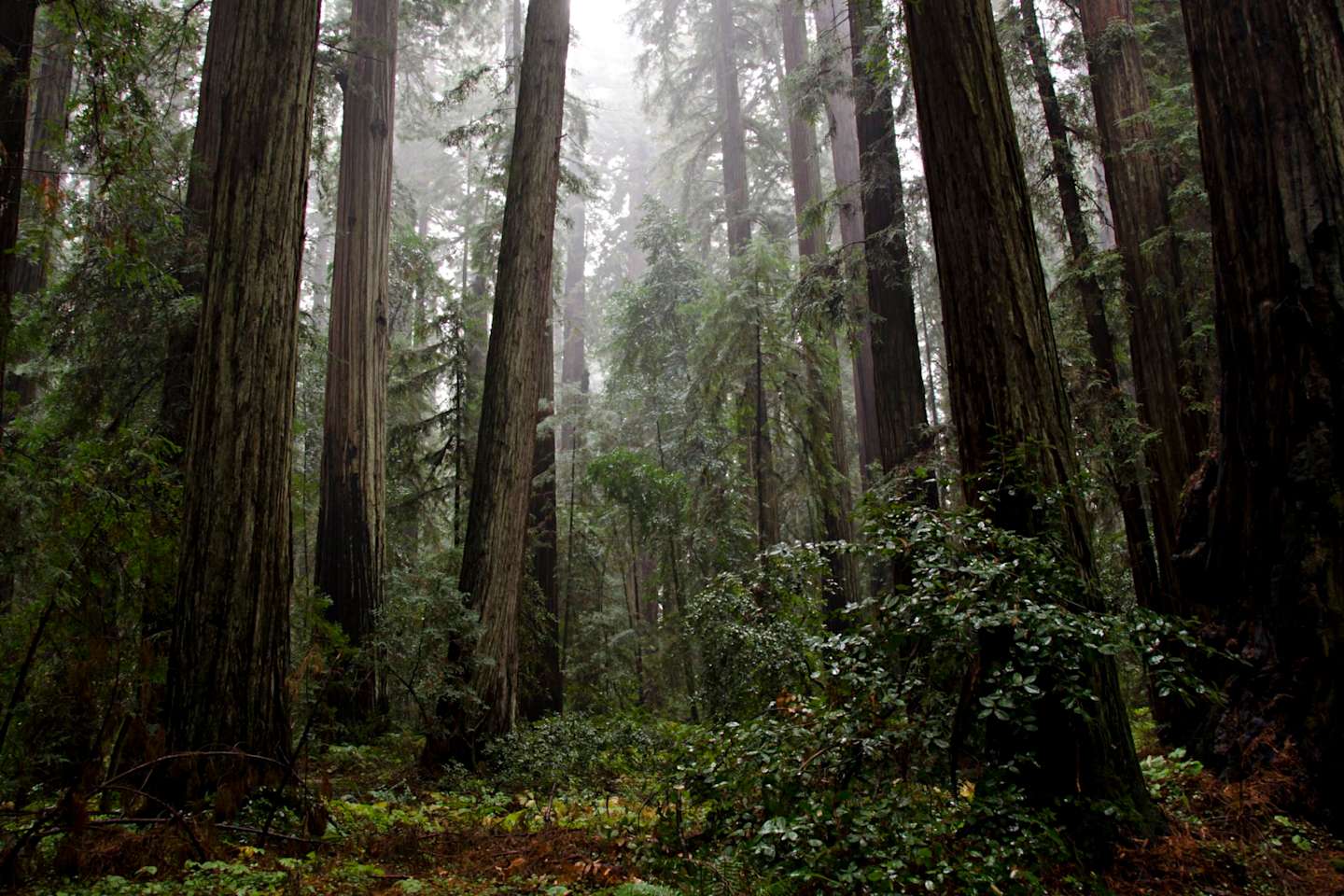 Best Camping In And Near Hendy Woods State Park