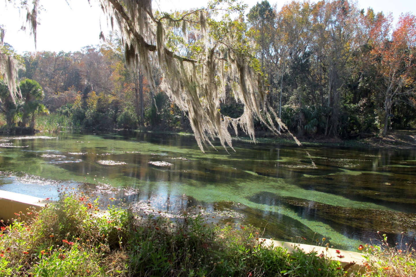 Farles Prairie Campground Ocala Fl