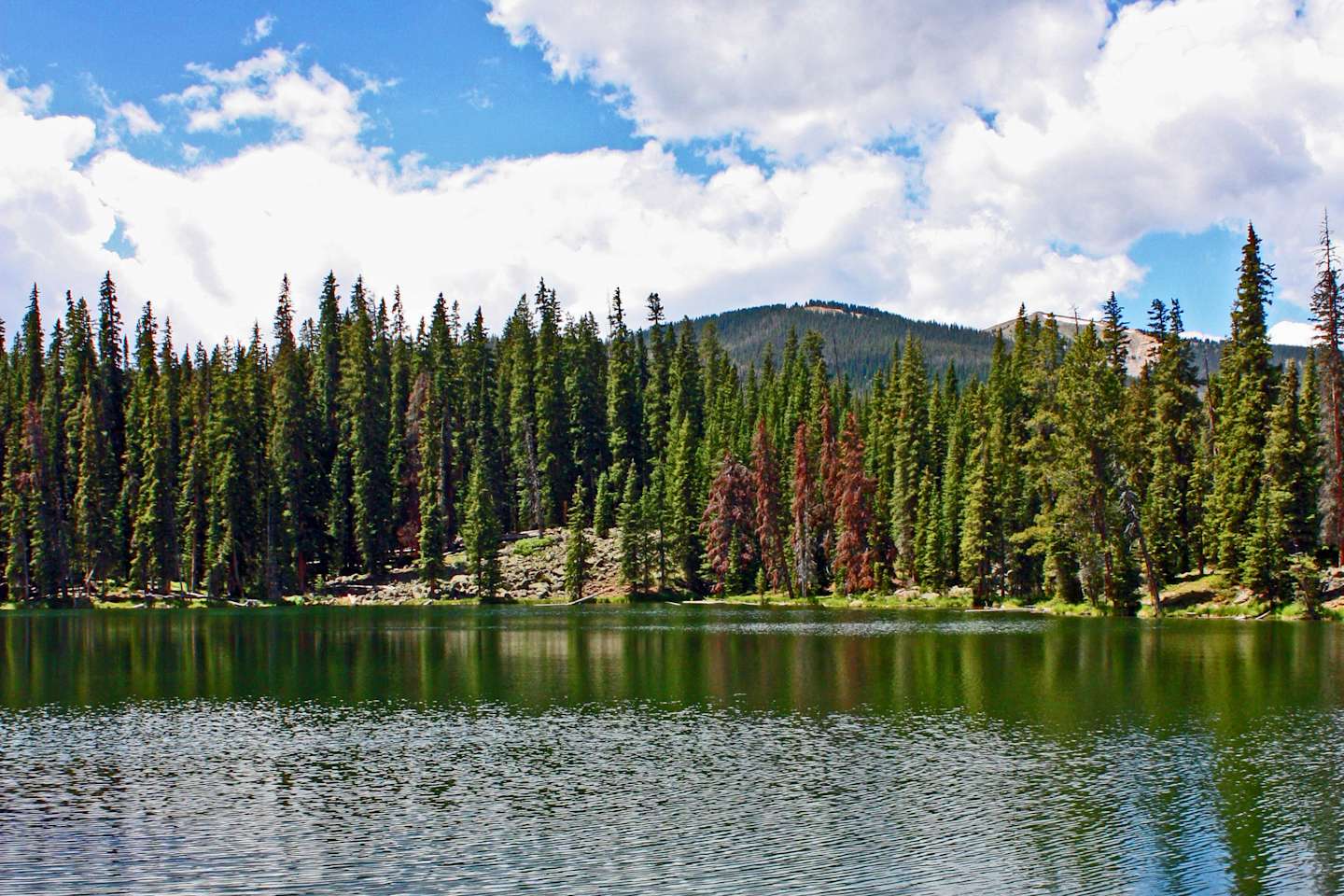 24 Campgrounds In Arapaho National Forest Over 30 Campsites Nearby