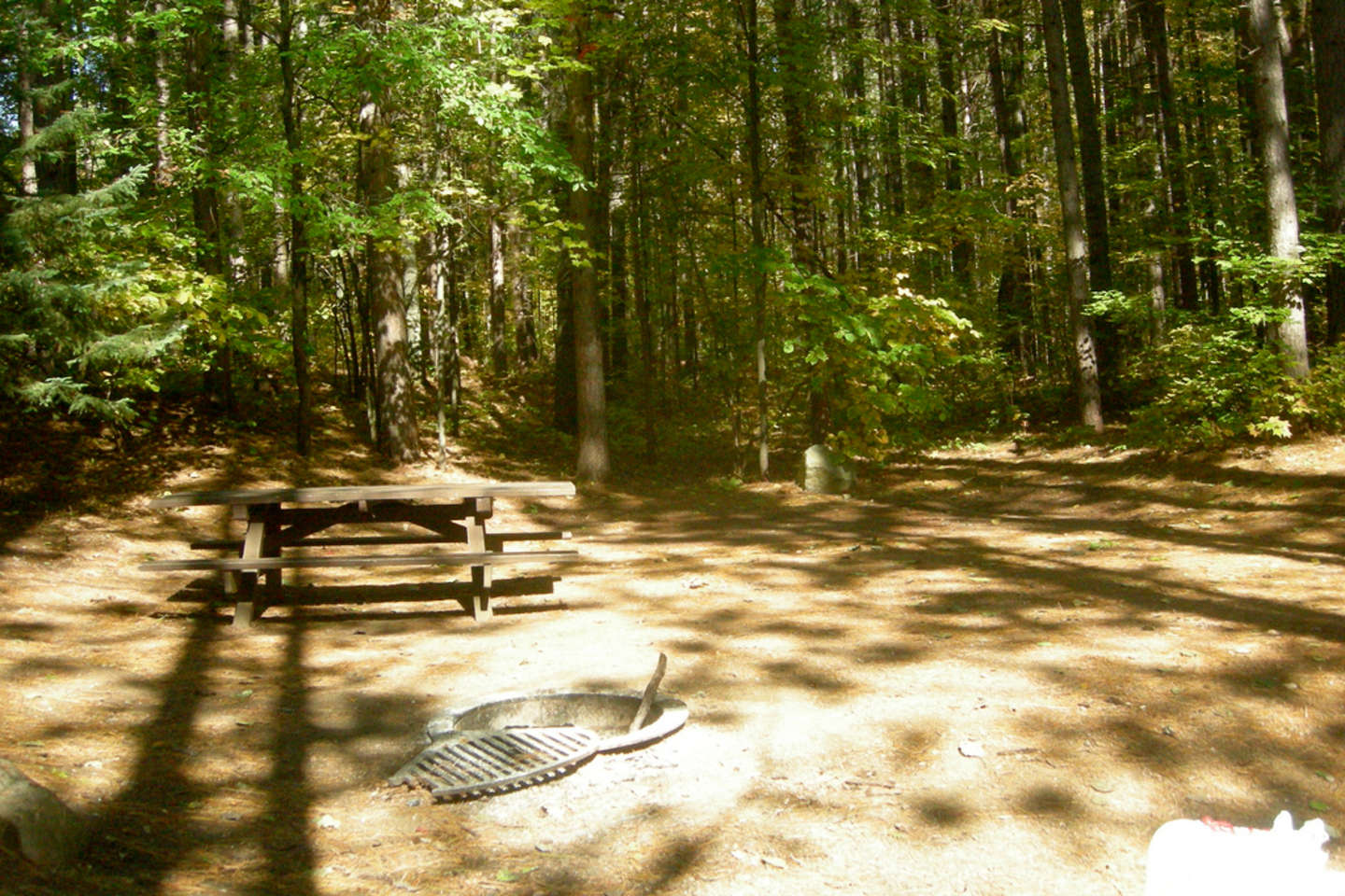 Best Camping In And Near Nicolet National Forest