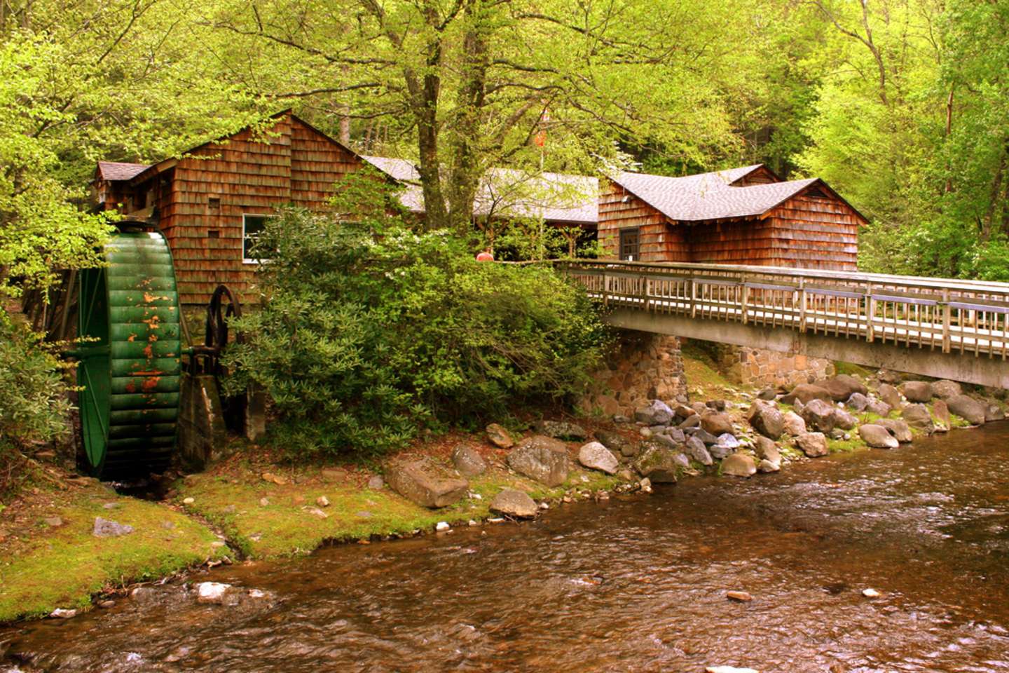 Best Camping In And Near Roan Mountain State Park