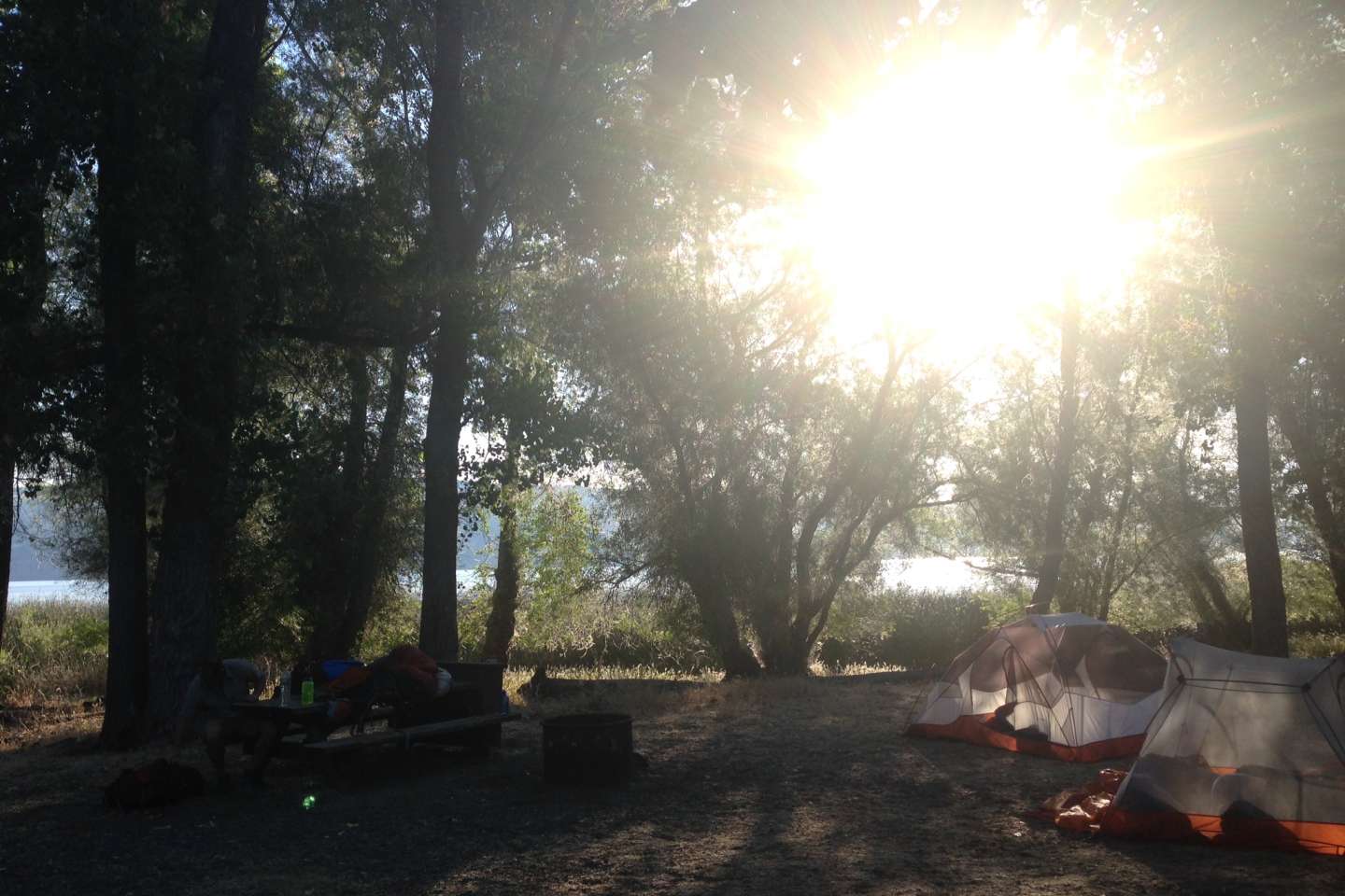 Kelsey Creek Campground Clear Lake CA 3 Hipcamper Reviews And 1 Photo