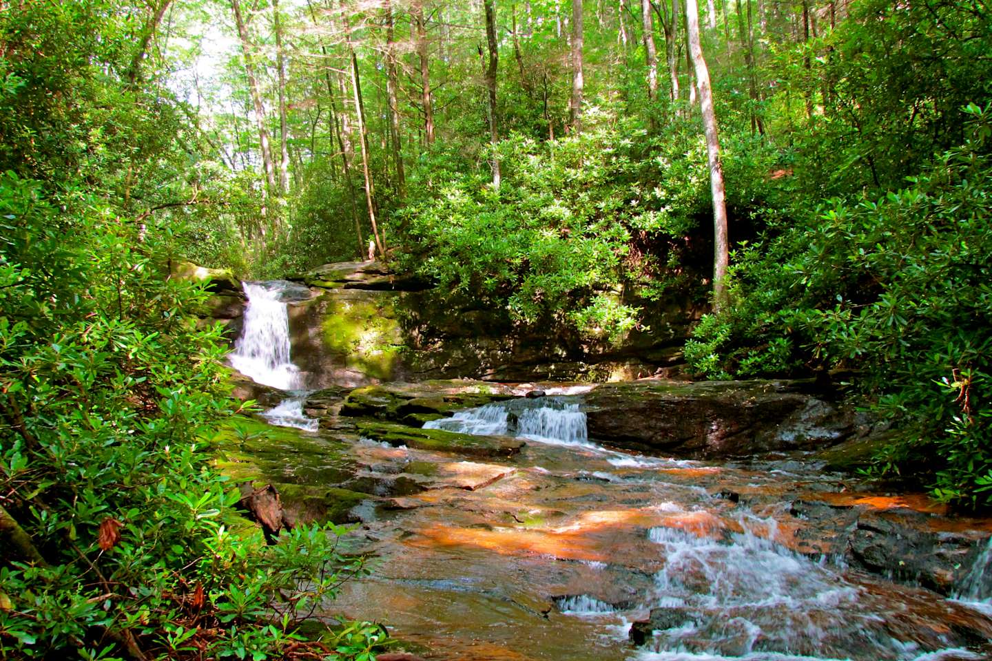 Best Camping In And Near Chattahoochee Oconee National Forest