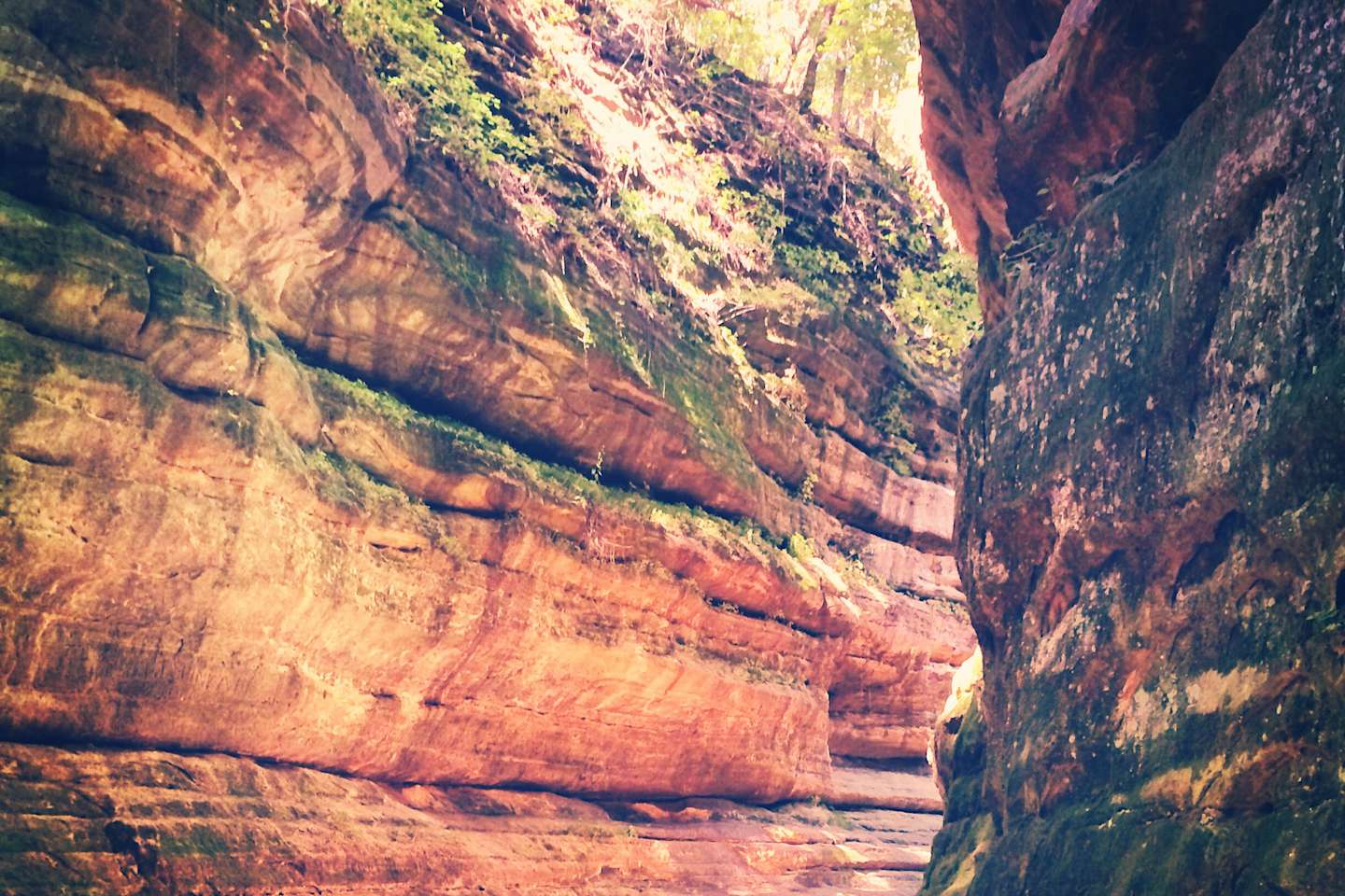 Best Camping In And Near Starved Rock State Park