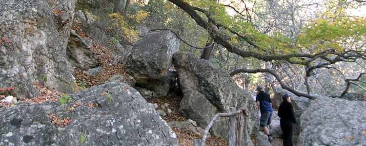 Best Camping In And Near Lost Maples State Natural Area
