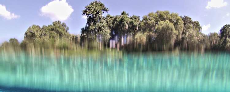 Best Camping In And Near Rainbow Springs State Park