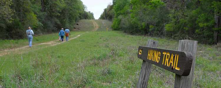Best Camping In And Near Buescher State Park