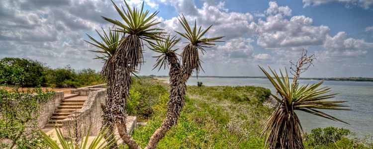 Best Camping In And Near Lake Corpus Christi State Park