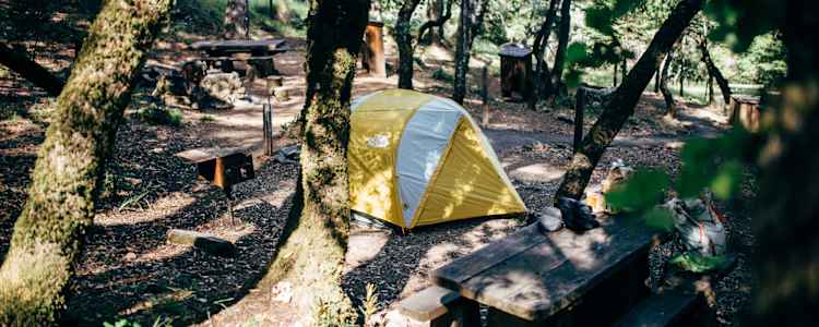 Best Camping In And Near Mount Tamalpais State Park