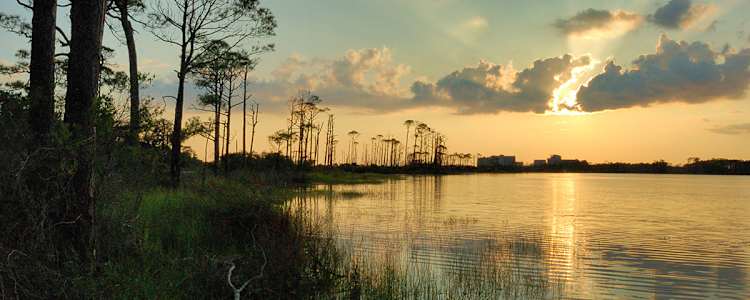 Best Camping In And Near Topsail Hill Preserve State Park
