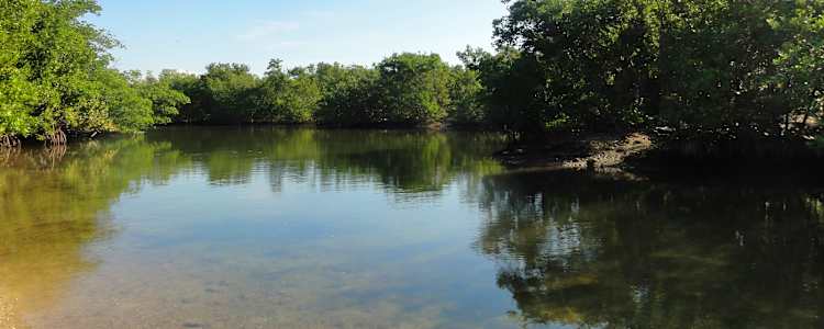Best Camping In And Near Oleta River State Park
