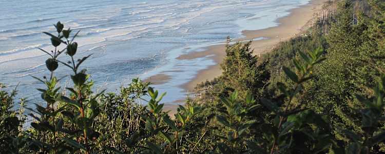 Best Camping In And Near Cape Lookout State Park