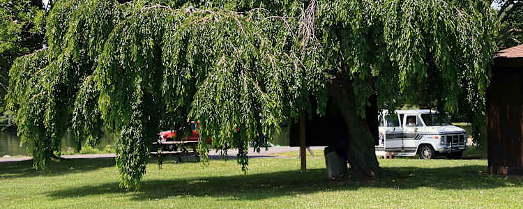 20 Amazing Campsites Near Nockamixon State Park Interactive Map