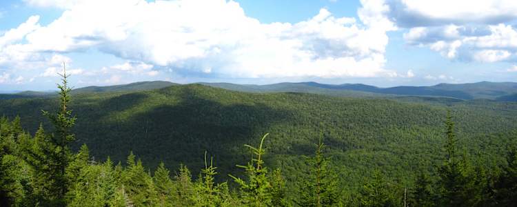 Best Camping In And Near Green Mountain National Forest