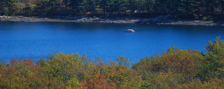 Best Camping In And Near High Point State Park